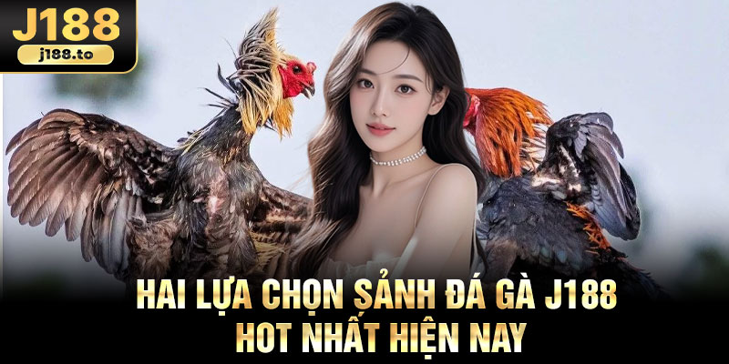 Hai lựa chọn sảnh đá gà j188 hot nhất hiện nay