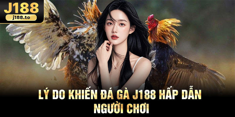 Lý do khiến đá gà j188 hấp dẫn người chơi